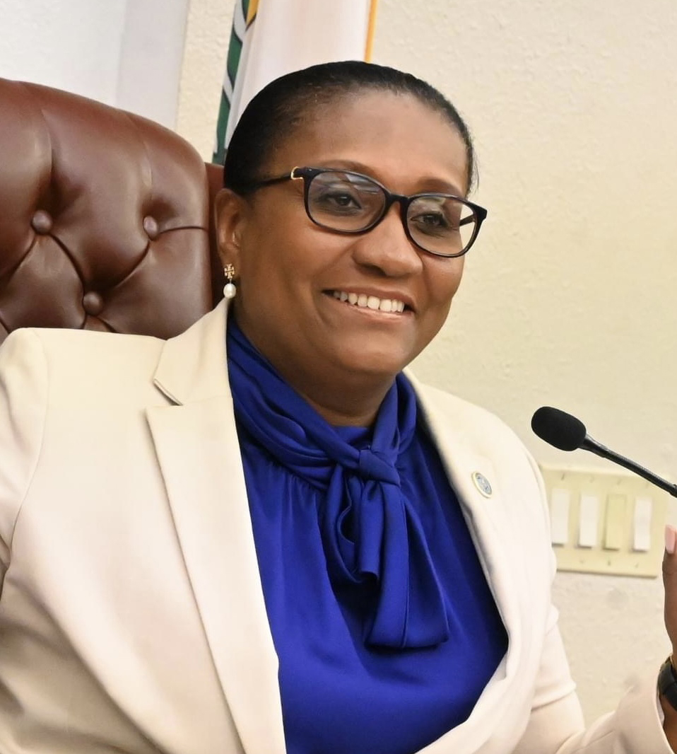 Senator Donna Frett-Gregory presiding in the Virgin Islands Legislature